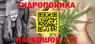 трава Новозыбков