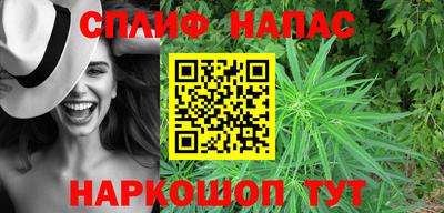 трава Новозыбков