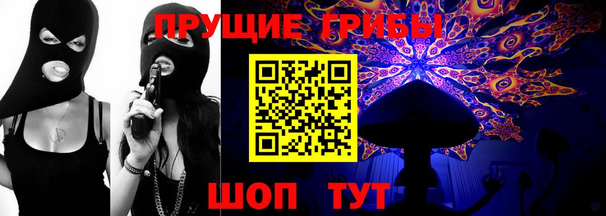 Псилоцибиновые грибы Psilocybine cubensis  Вход с VPN  Советский  Псилоцибиновые грибы Cubensis 