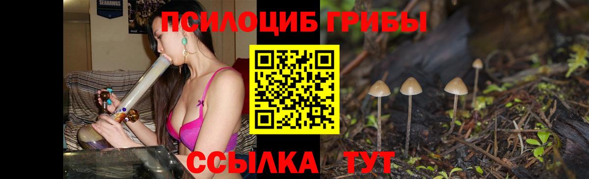 Галлюциногенные грибы Psilocybe Советский